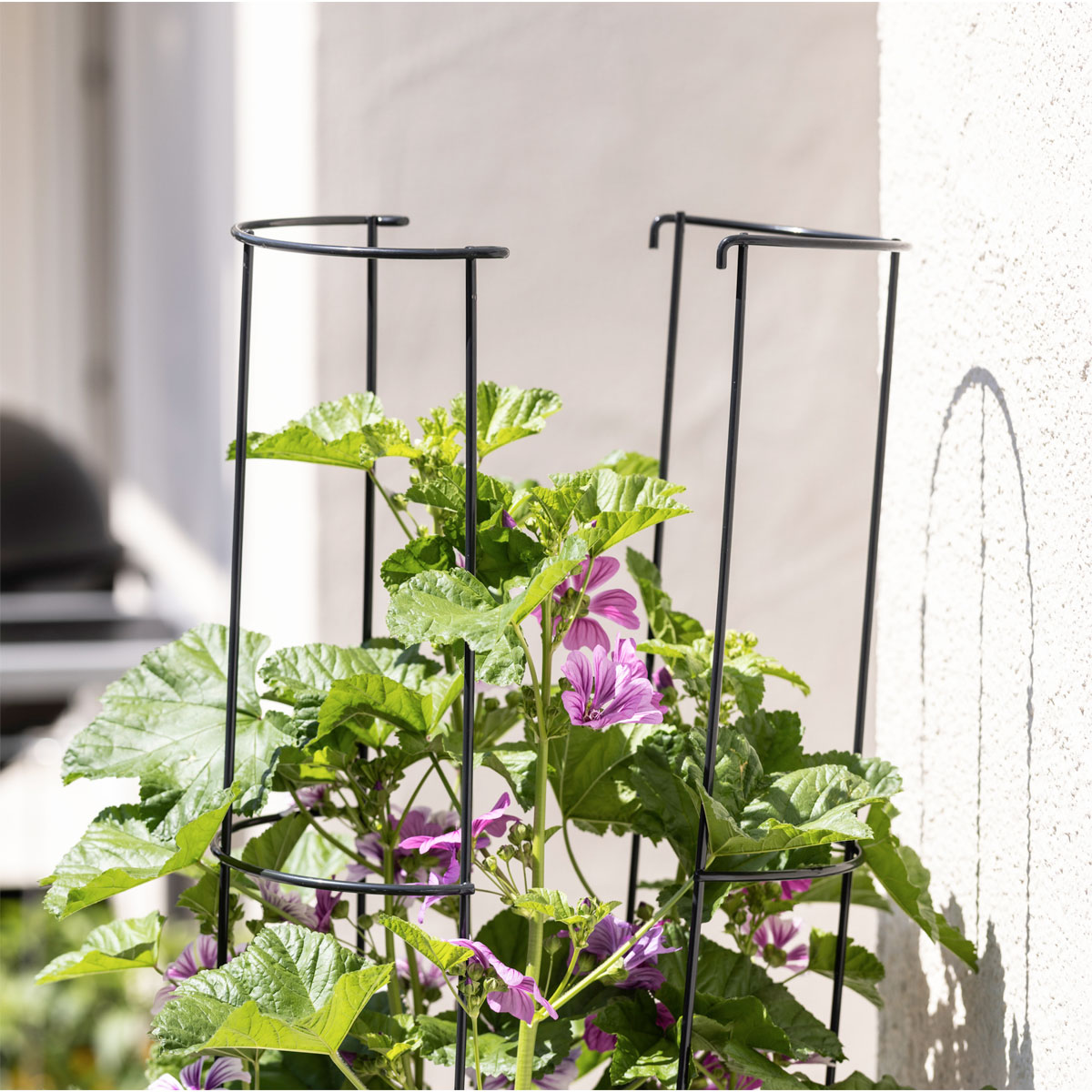 Windhager  Ranksäule 2-teilig 175 cm Bild 2