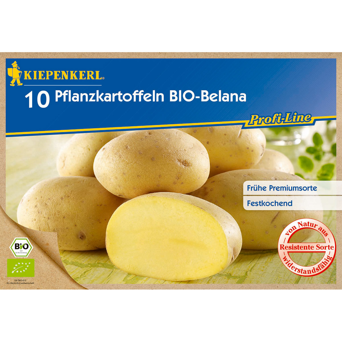 Kiepenkerl Pflanzkartoffel Belana Bio früh festkochend 10 Stück Bild 1