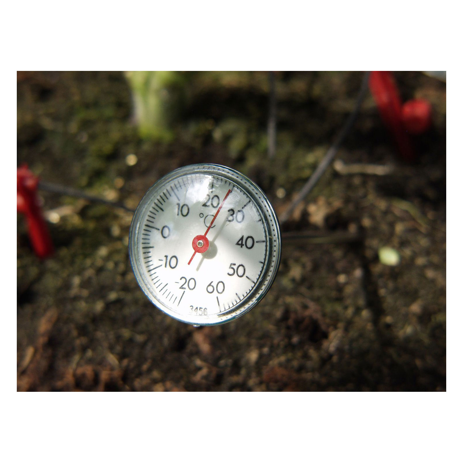 Vitavia Erdthermometer