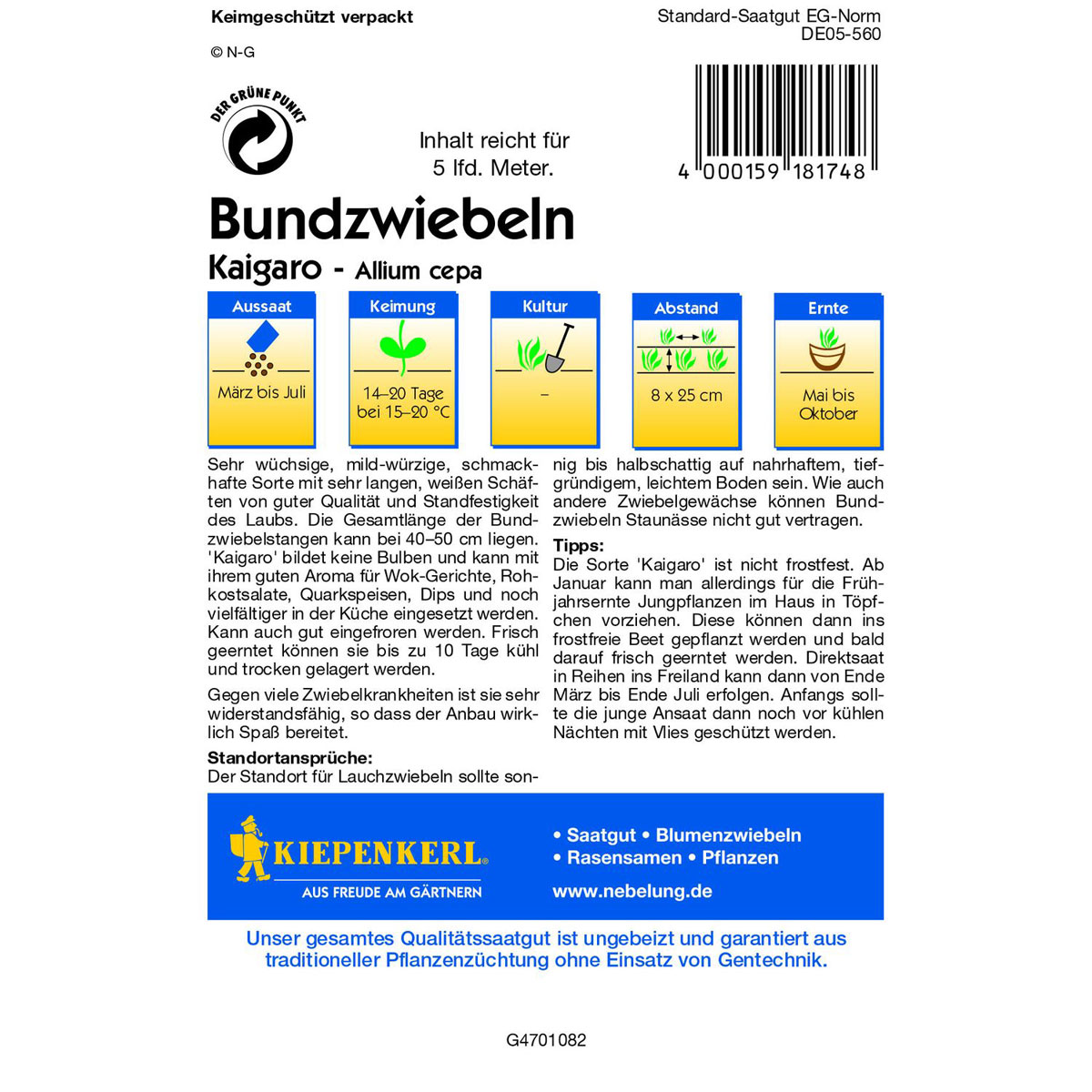 Kiepenkerl Lauchzwiebel Kaigaro Bild 3