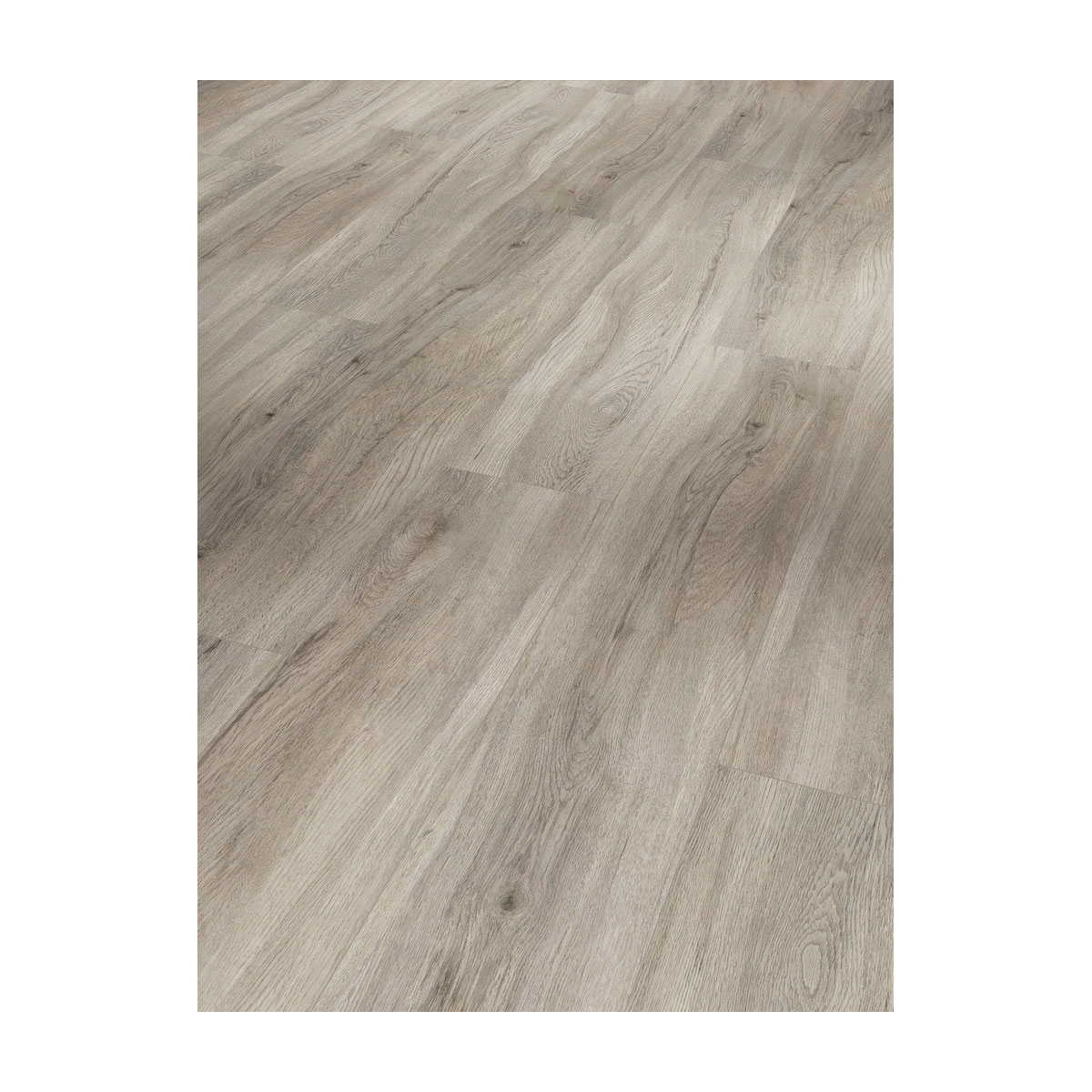 Parador Vinylboden Basic 5.3 Eiche pastellgrau gebürstete Struktur 22,5 x 120,9 cm