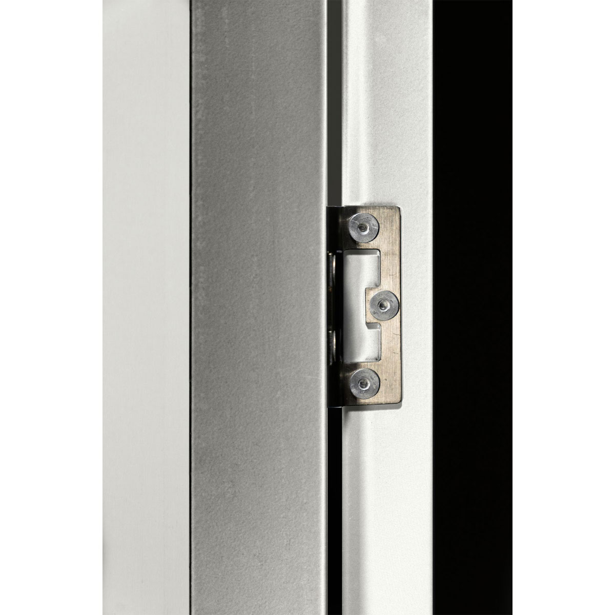 Globel Schwingtür-Kit 1 silber Bild 4
