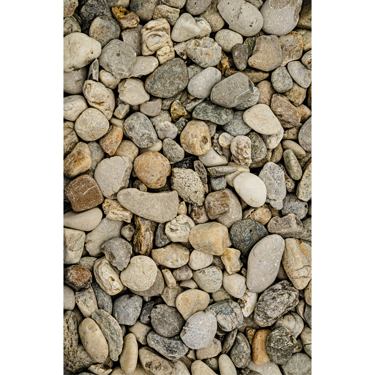 Flusskiesel bunt 32-50 mm 25 kg