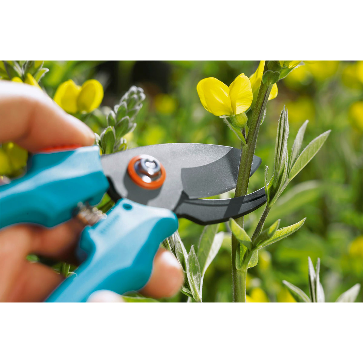 Gardena  Gartenschere Classic Bild 8