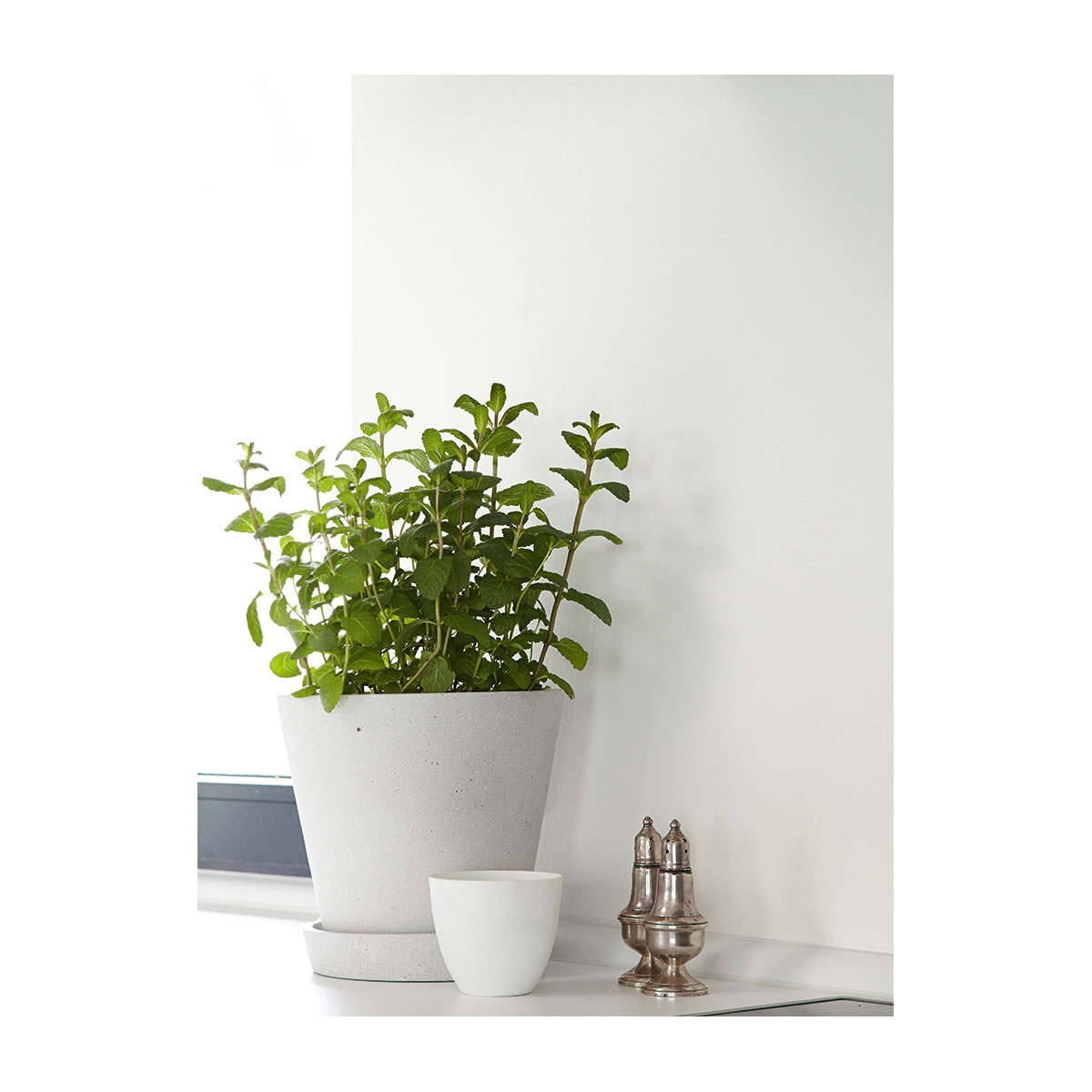 Alpina Feine Farben Zeit der Eisblumen 2,5 L Bild 3