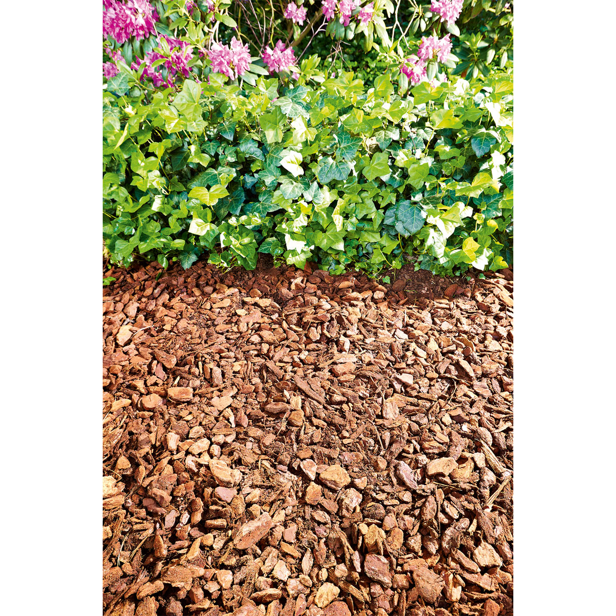 Plantiflor Pinienrinde 40 L Bild 3