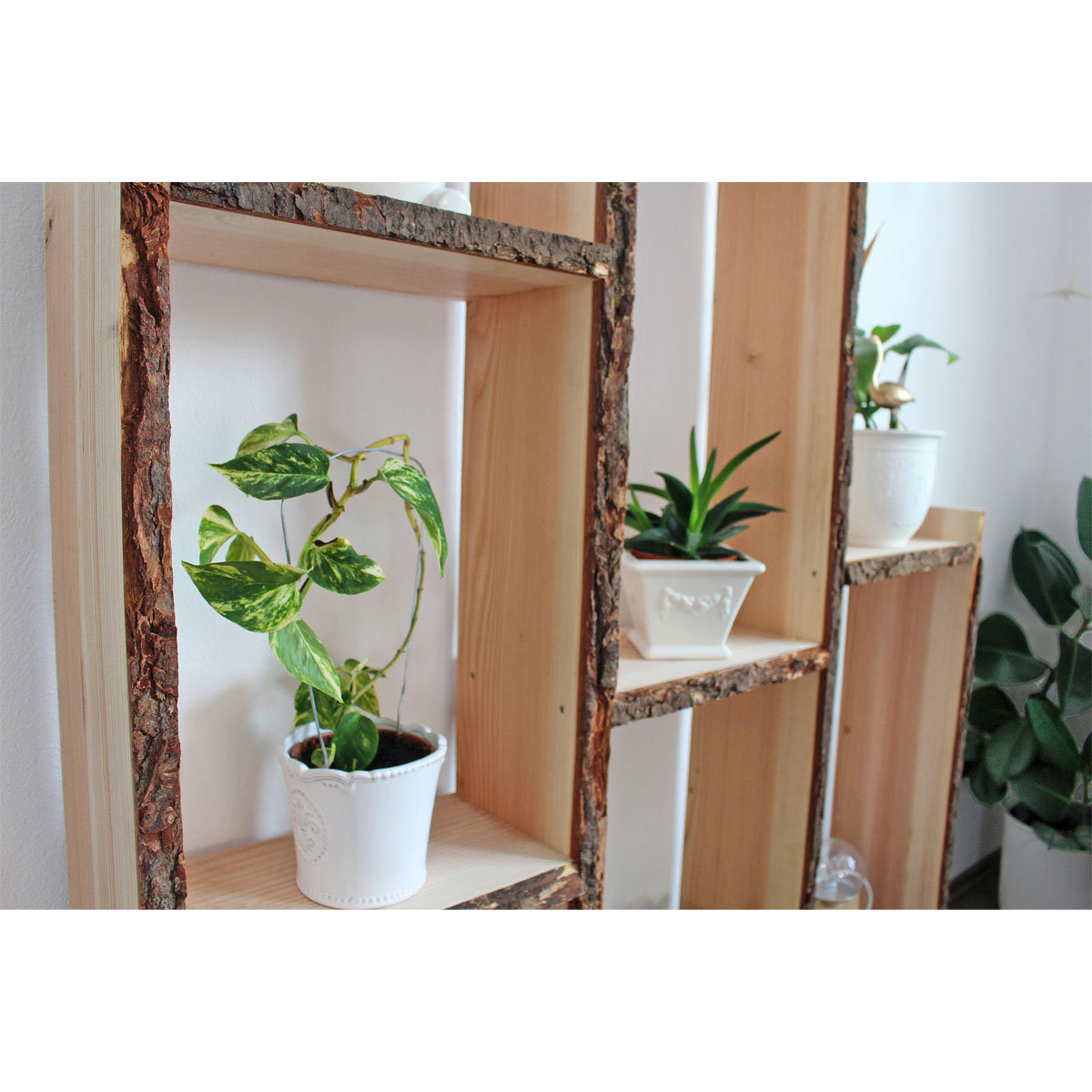 Douglasie-Massivholzbrett unbesäumt ca 120 x 36-40 cm Bild 4