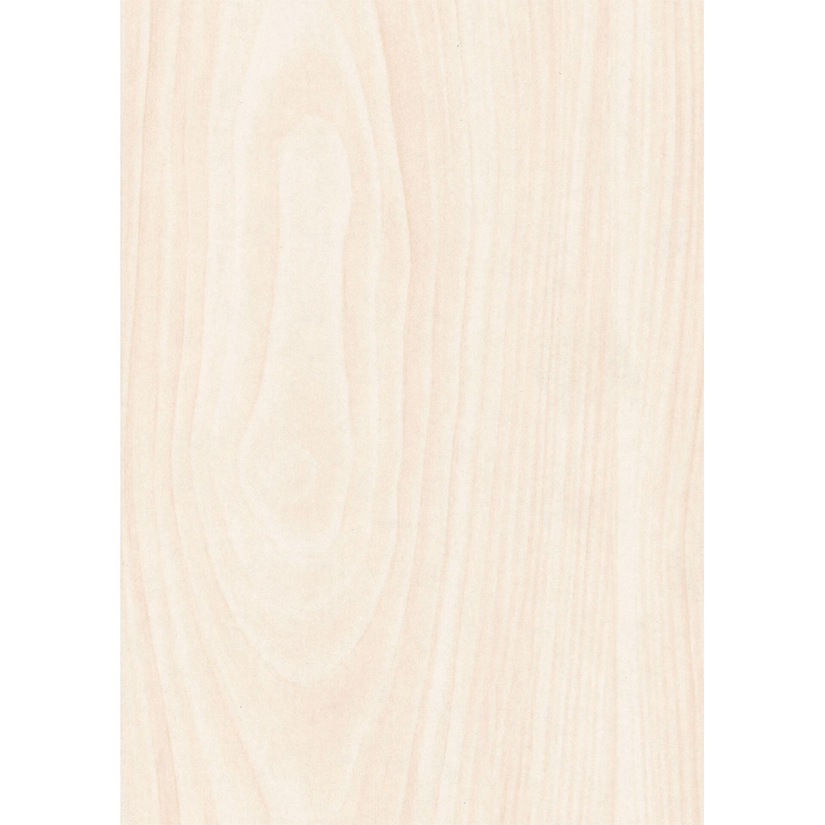 Specht Classic Paneel 10mm Birnbaum Bild 1