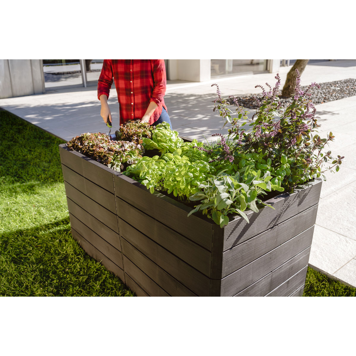 Garantia  Hochbeet Ergo Quadro 2 L 75 Wood, inkl. FLORA Wassersparsystem Bild 4