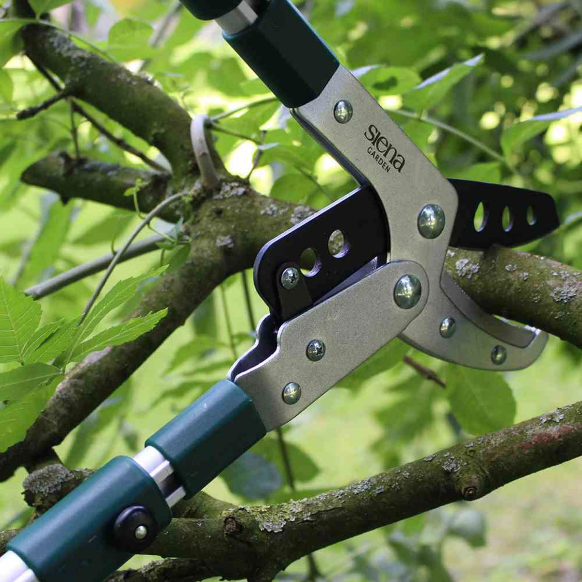 Siena Garden Amboss-Astschere teleskopierbar Bild 3