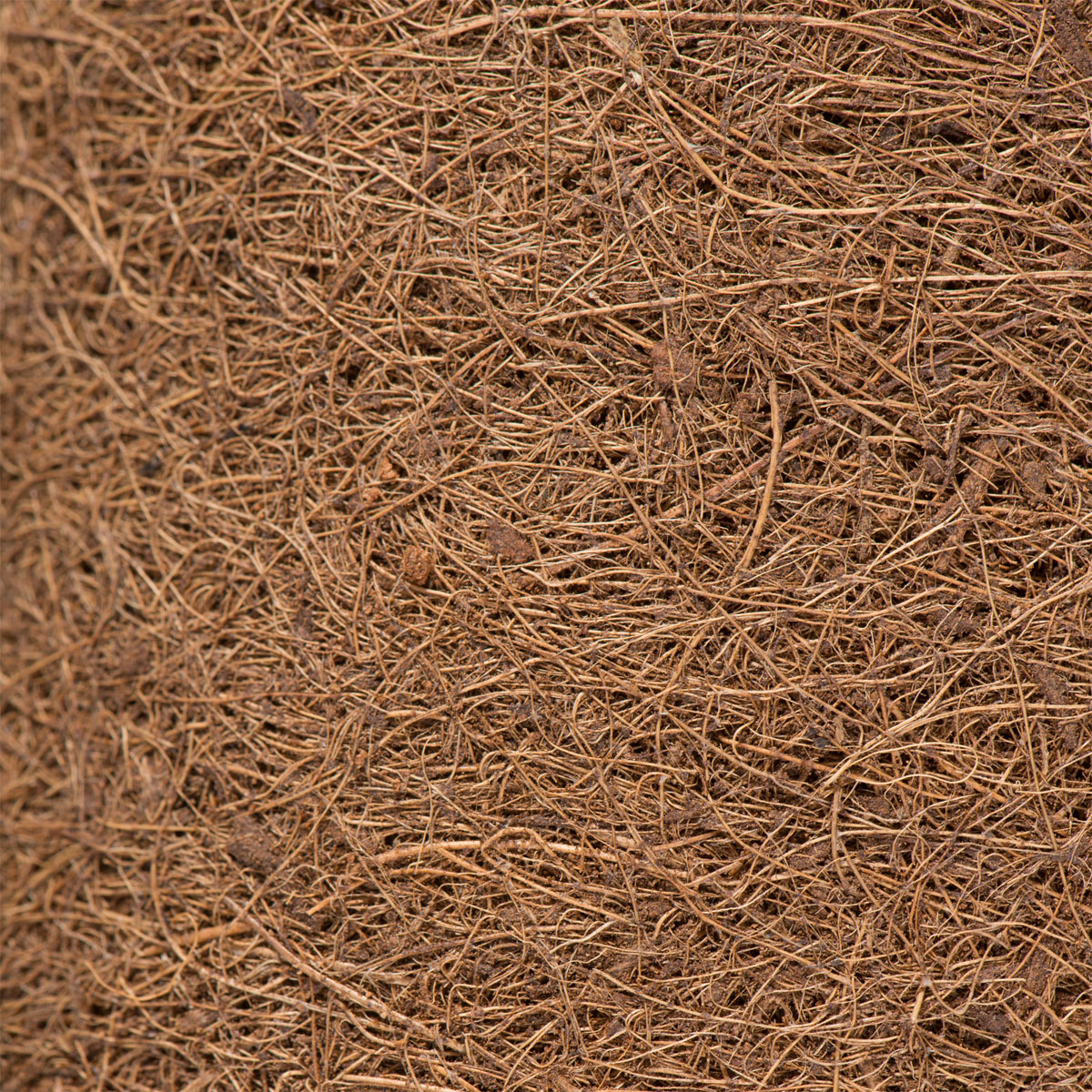 Kokos-Filzmatte 0,5 x 1,5 m Bild 3