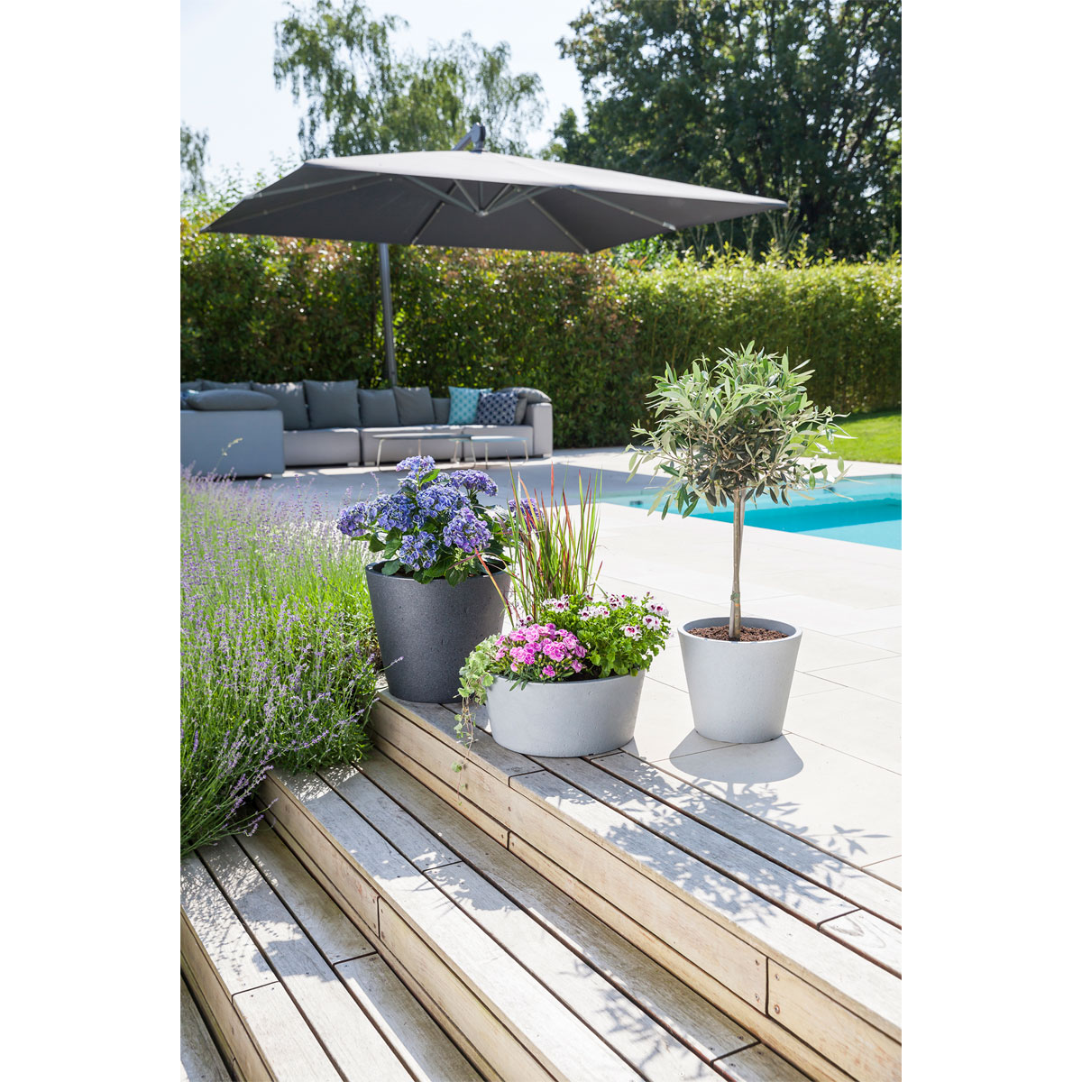 Scheurich Pflanzgefäß C-Cone BxHxT 38,9 x 33,2 x 38,9 cm Stony Grey Bild 2