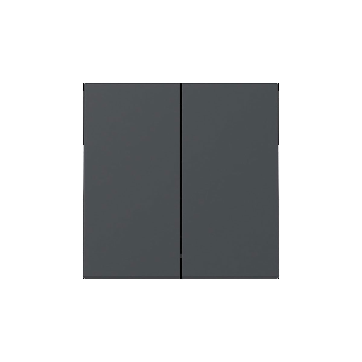 Gira  Wippe 2f System 55 Anthrazit