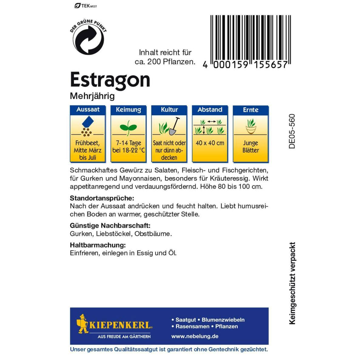 Kiepenkerl Estragon mehrjährig Bild 2
