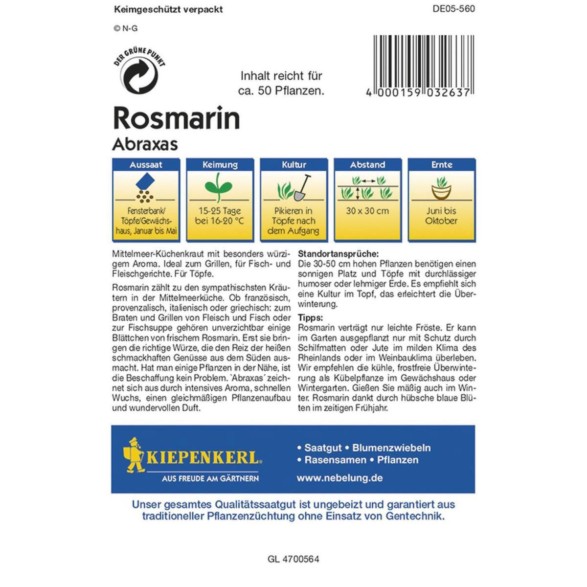 Kiepenkerl Gourmetrosmarin Abraxas Profi-Line Bild 3