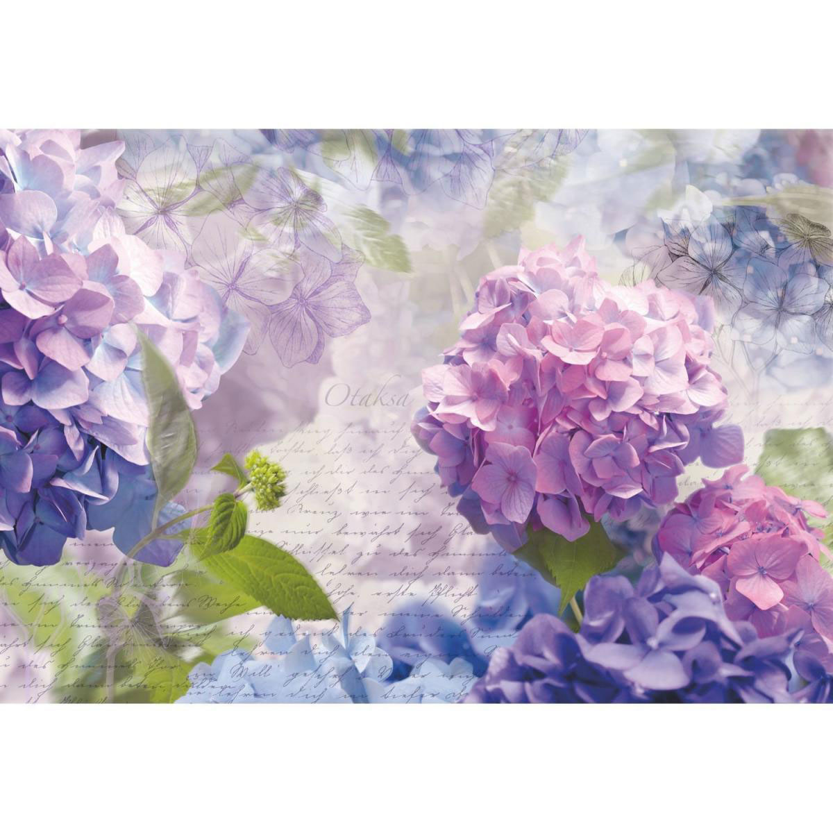 Komar Papier-Fototapete Otaksa 8-teilig 368 x 254 cm
