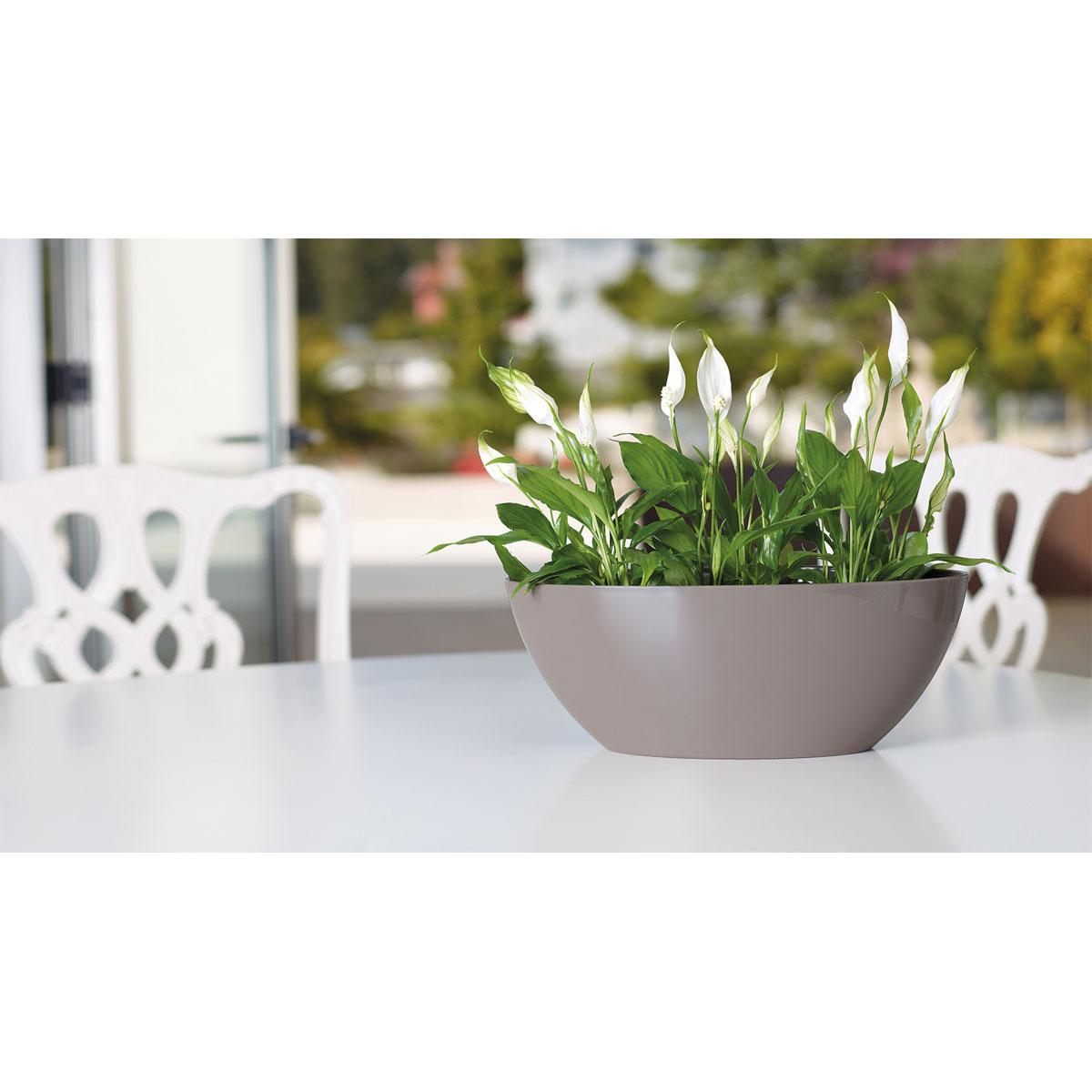 Schale Bahia Plant Box 45 cm anthrazit Bild 3