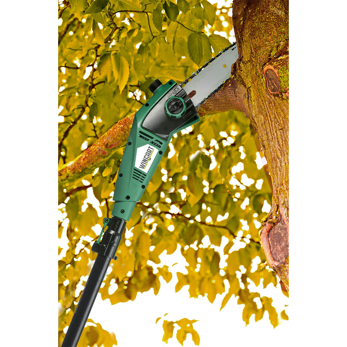 Wingart Elektro-Hochentaster WTKS 750 Bild 2