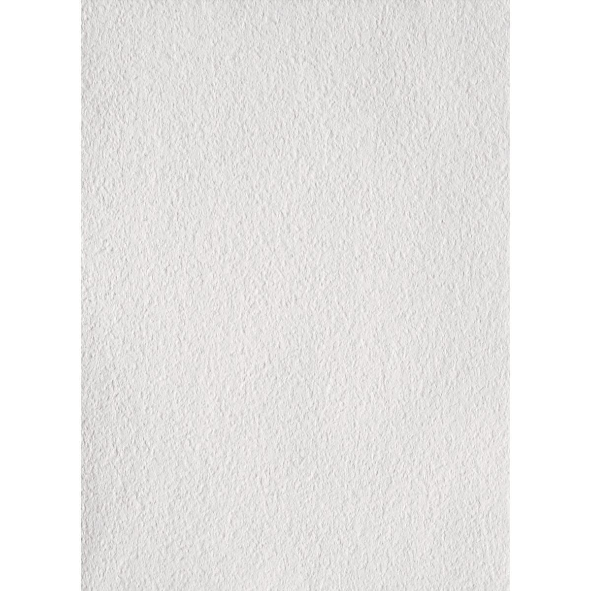 Erfurt Vlies Rauhfaser Viva Bild 2