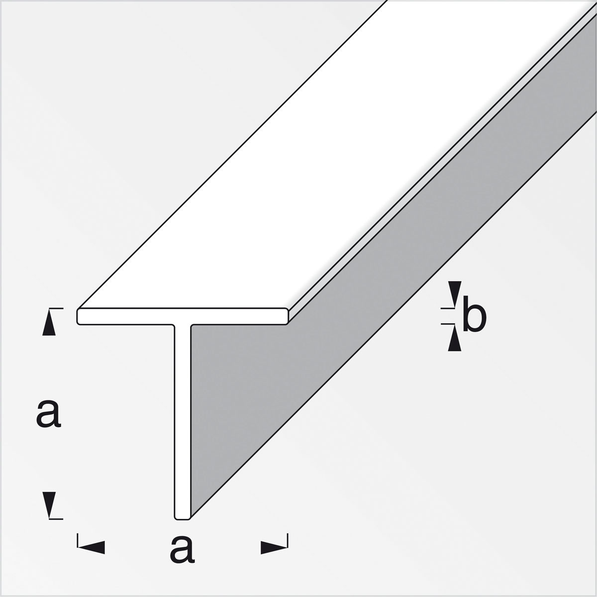 Quadrat T-Profil, 19,5mm, 2,5m, blank