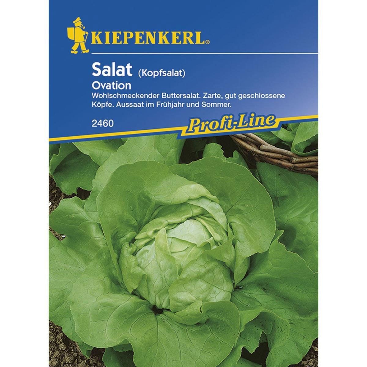 Kiepenkerl Kopfsalat Ovation Profi-Line Bild 1