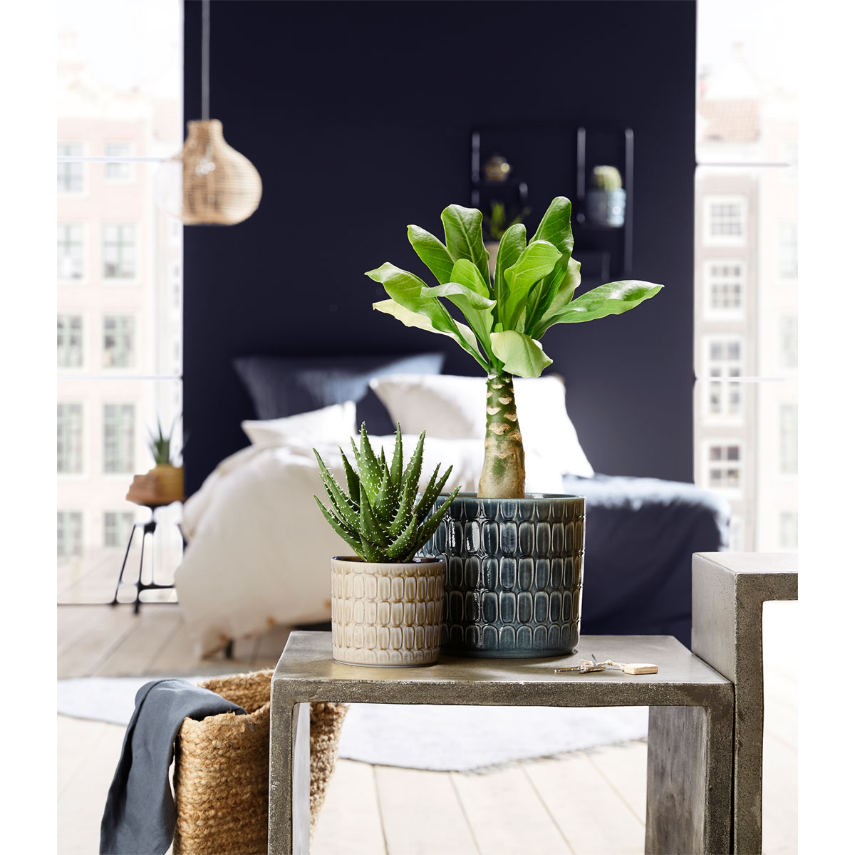 Scheurich Übertopf Alma Durchmesser 14 cm grau Bild 2