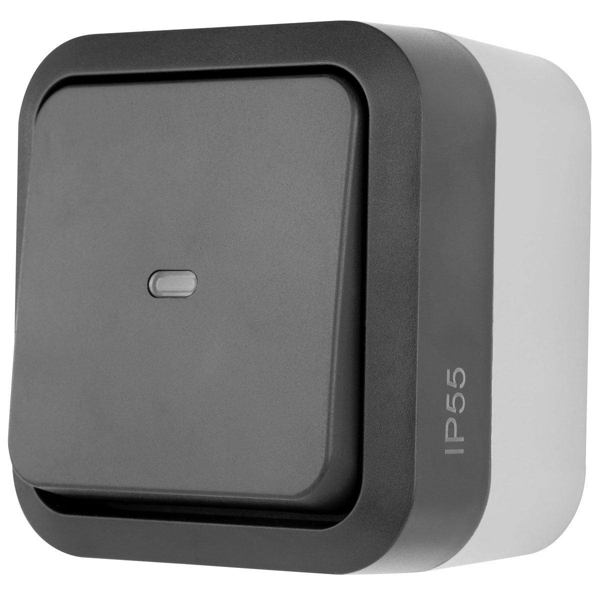 REV Ritter Kontroll-Schalter AquaStorm Bild 2