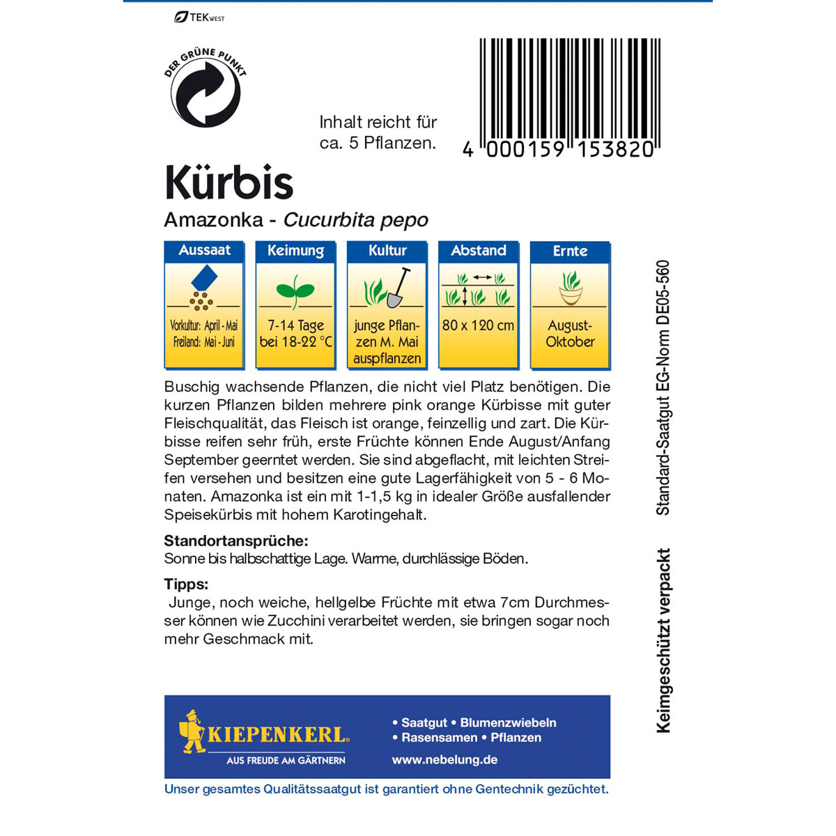 Kiepenkerl Kuerbis Amazonka Bild 3