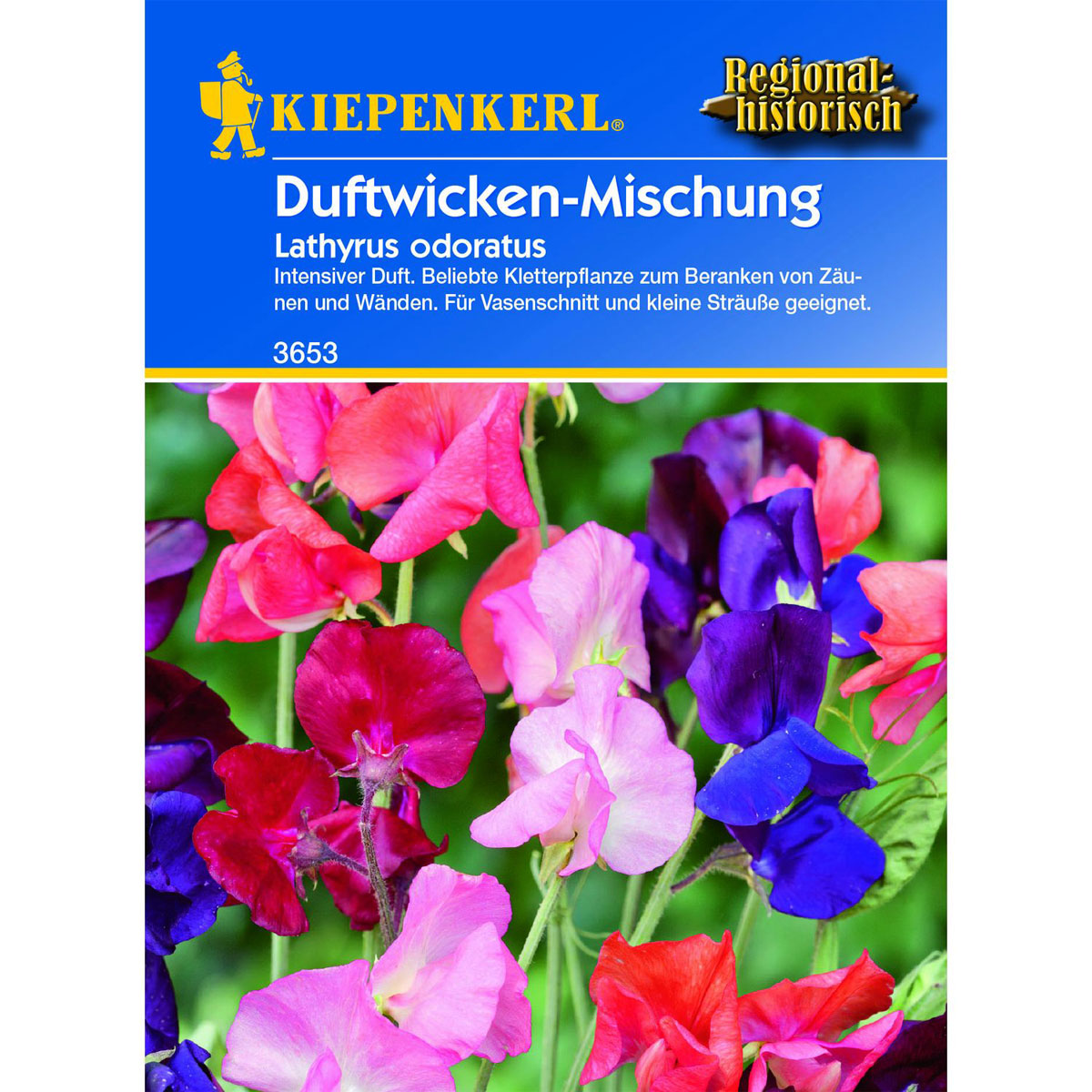 Kiepenkerl Lathyrus Mischung