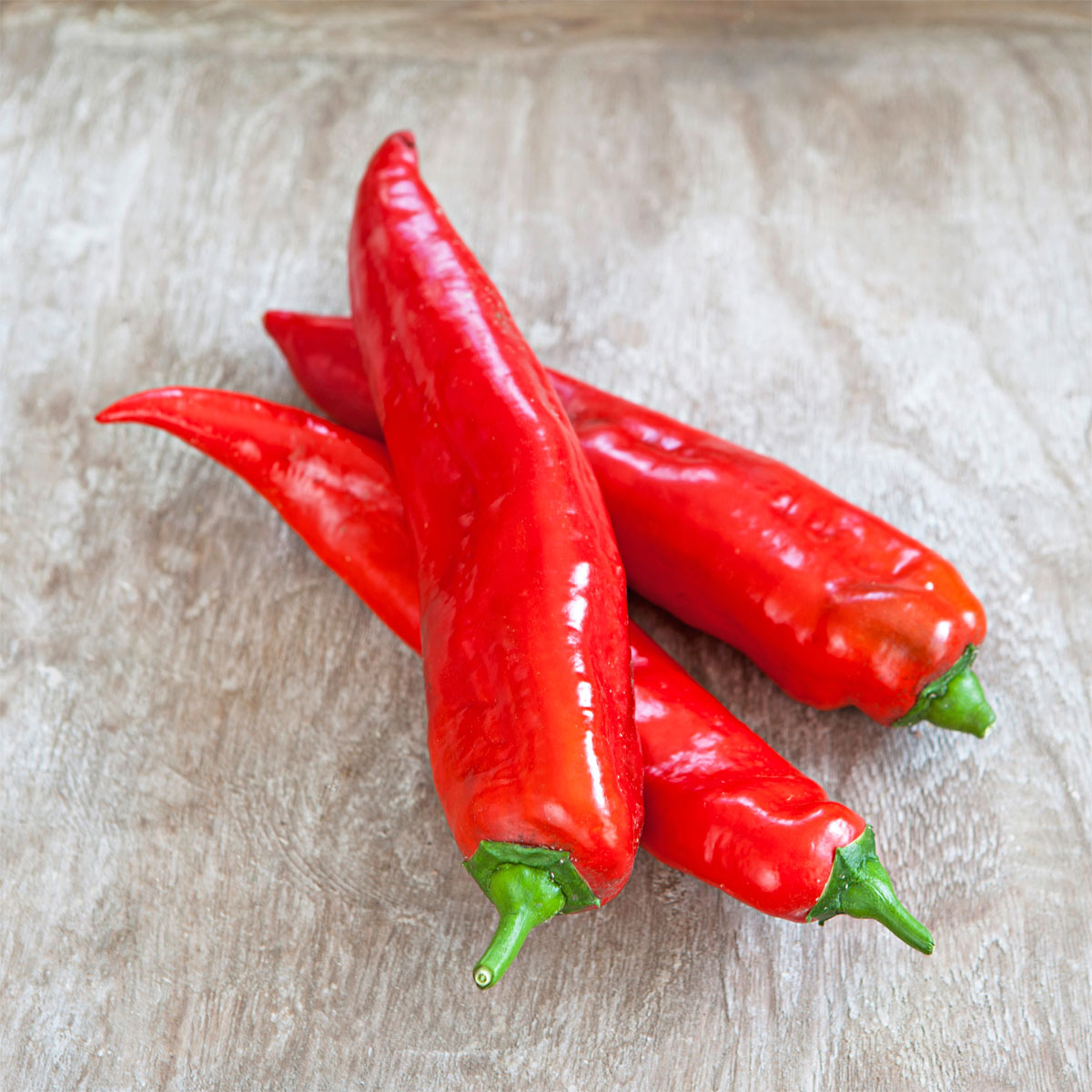 Plantiflor  Snackpaprika plastikfrei Topf 12 cm Bild 3