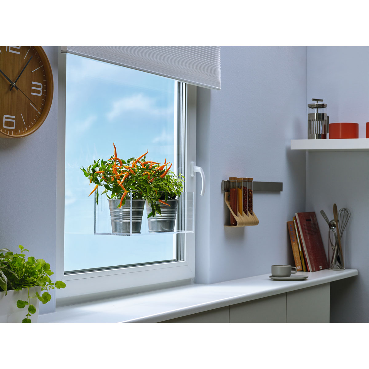 Tesa Klebehaken transparent Glas 2 Stück Traglast 2 x 1 kg Bild 4