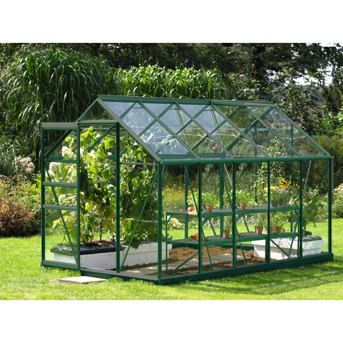 Vitavia Gewächshaus Venus 6200 ESG 6,2m² 3 mm Einscheibensicherheitsglas grün