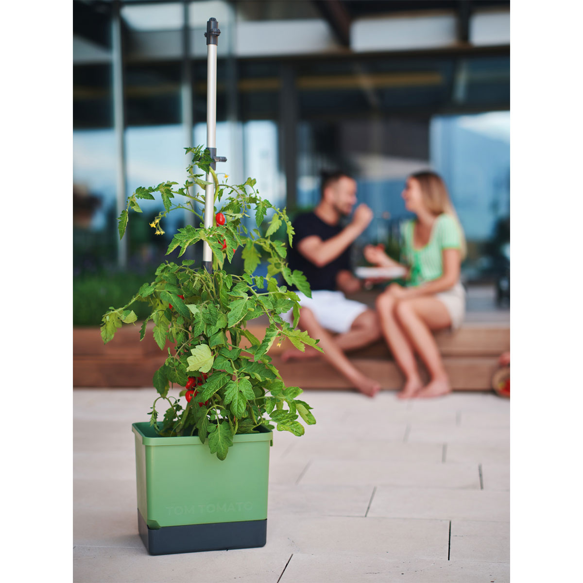 Anzuchtsgefäß Tom Tomato dunkelgruen Bild 2