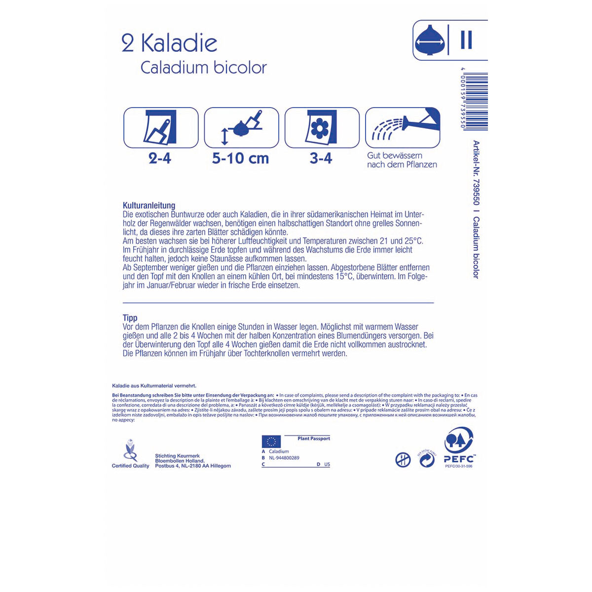 Kiepenkerl Kaladie Carolyn Whorton Größe 2 2 Stück Bild 2