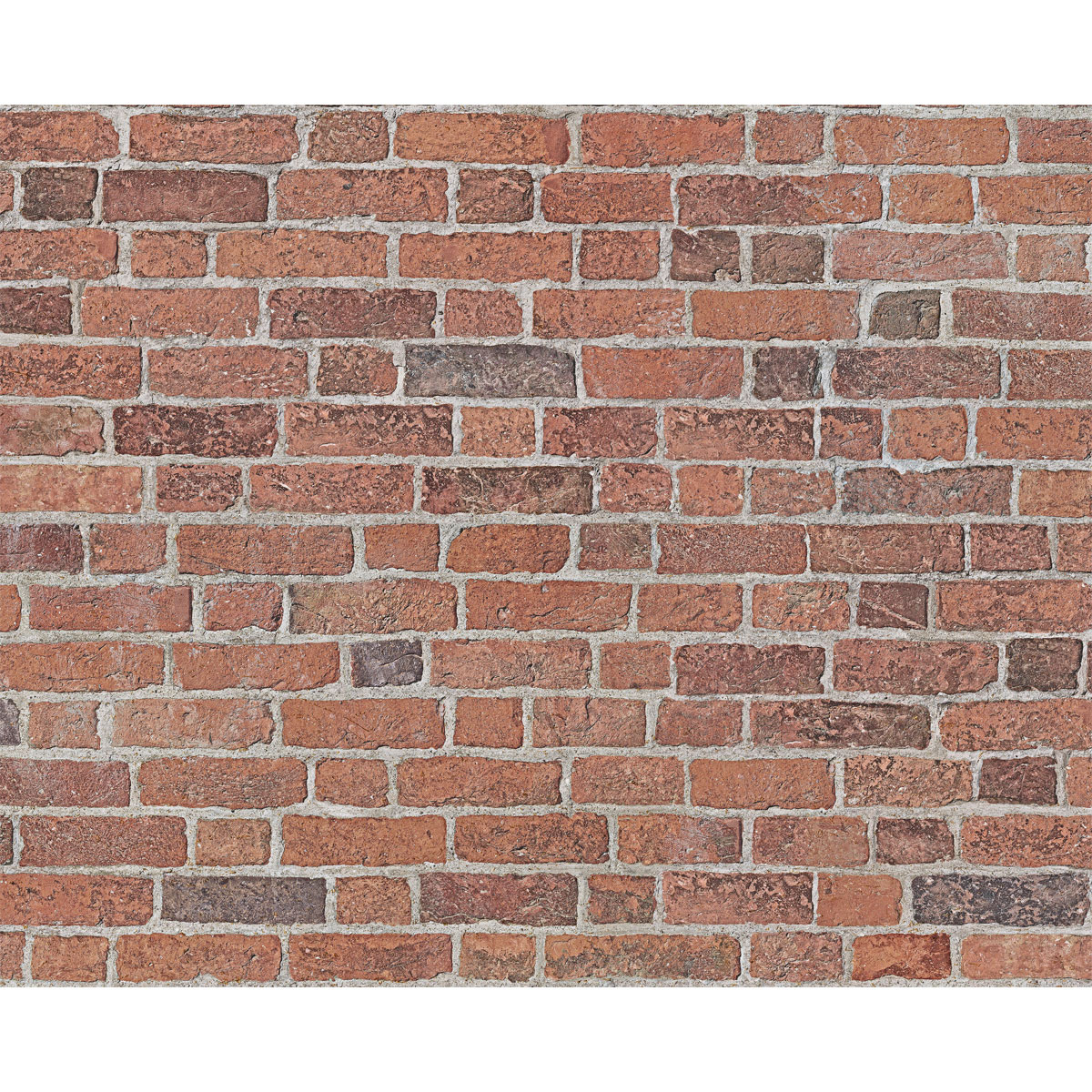 Wandpaneel DecoWall Wismar Backstein 125 x 66 cm 3er-Pack