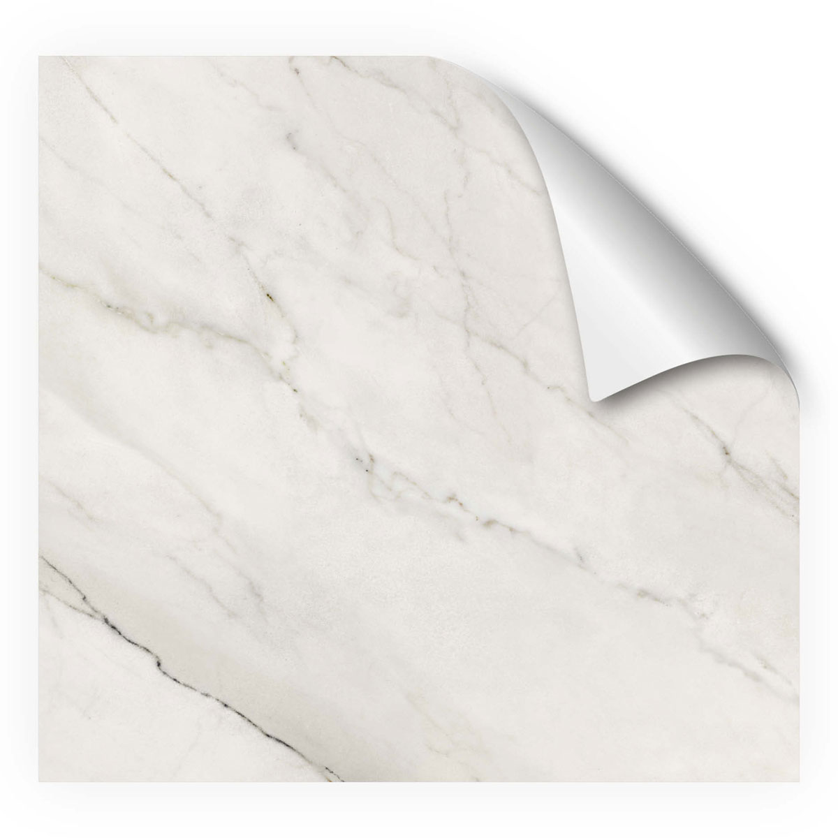 MySpotti Fresh DuschrückwandfolieKylie Bild 1