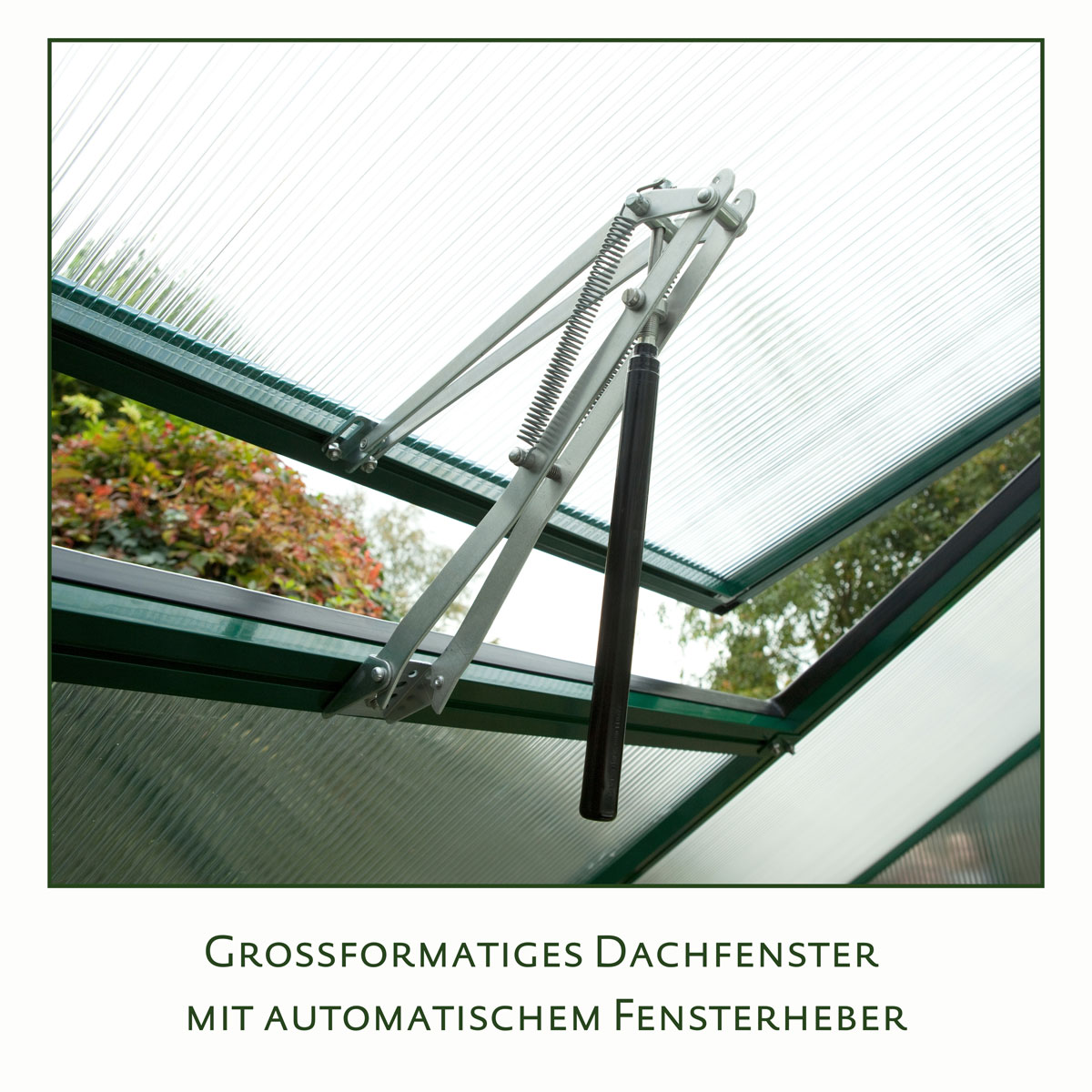 KGT Gewächshaus Lilie III 9,6m² schwarz Bild 5