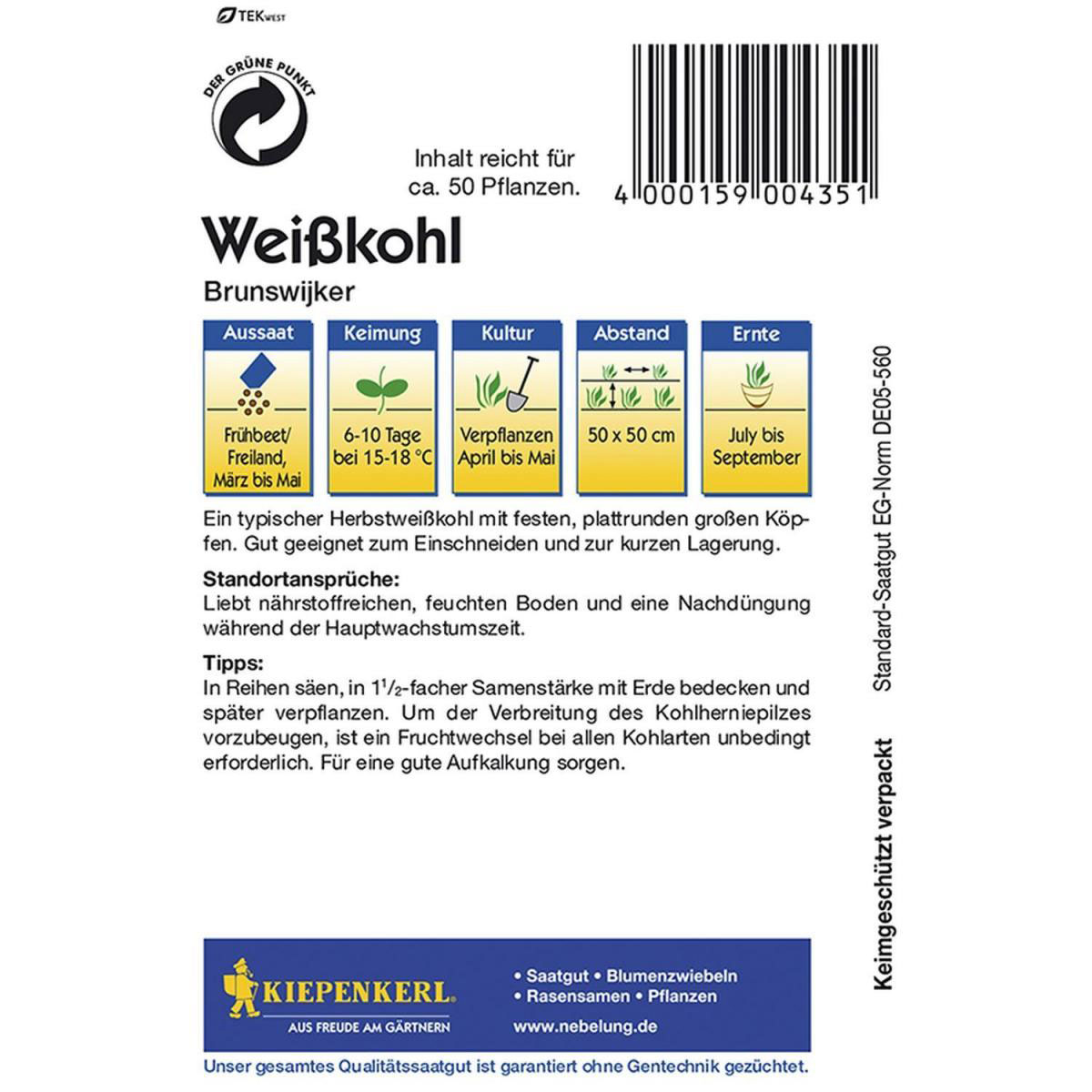 Kiepenkerl Weißkohl Brunswijker Bild 2
