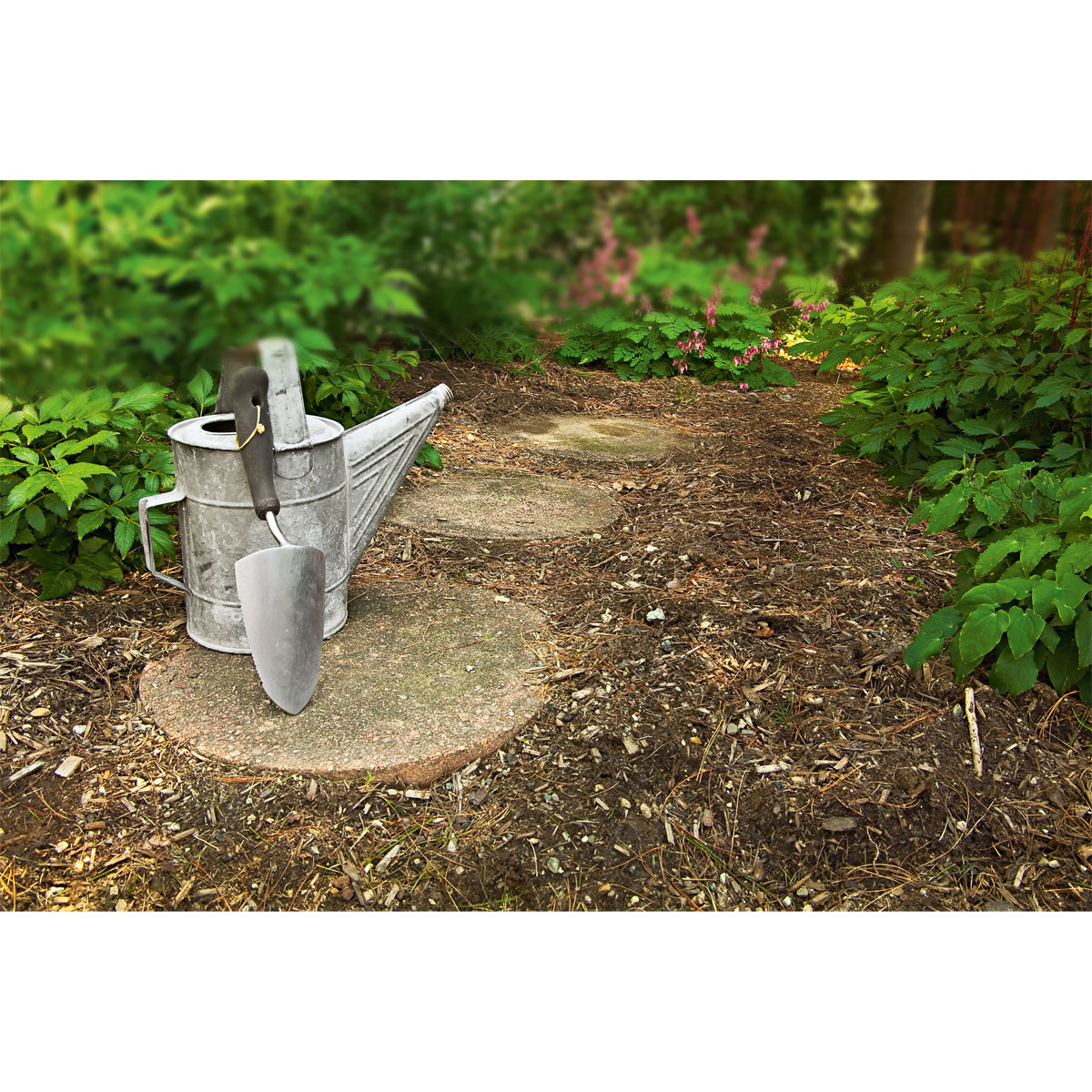 Plantiflor Aktiverde Terra Preta 20 L Bild 2