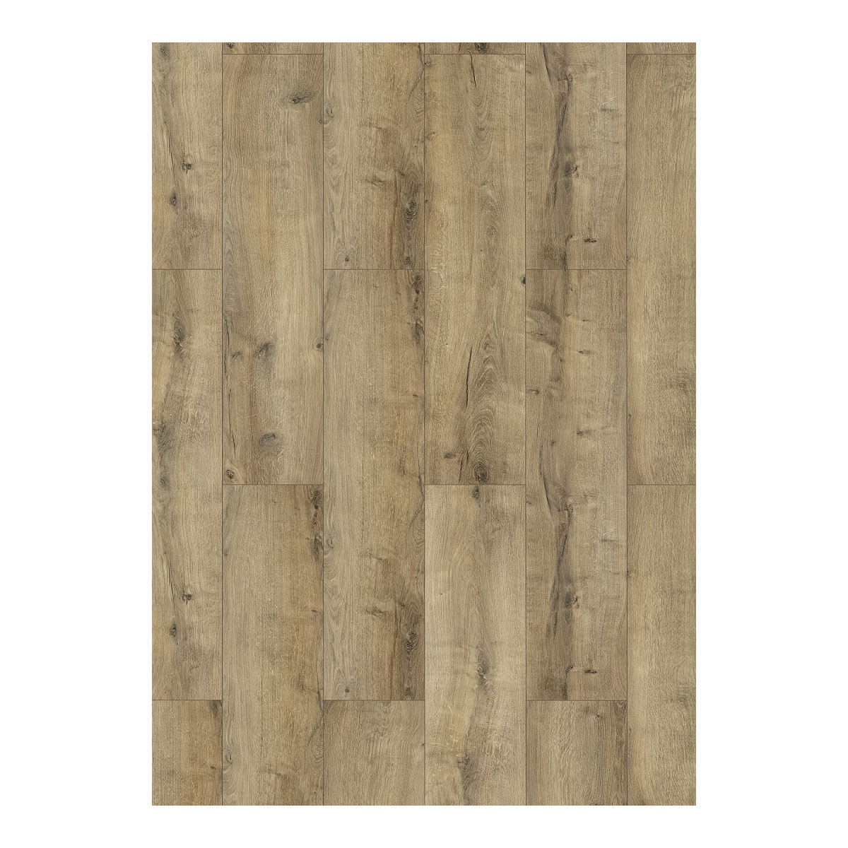 Laminat Classen WR 4V Oak natural grey 1285 x 192 x 8 mm NK 32