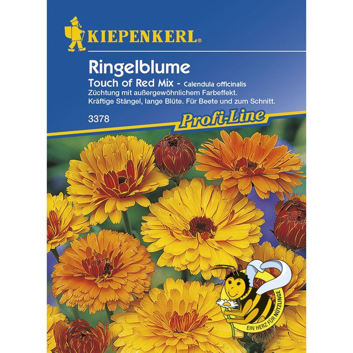 Kiepenkerl Ringelblume Touch of Red Mix Profi-Line Bild 1
