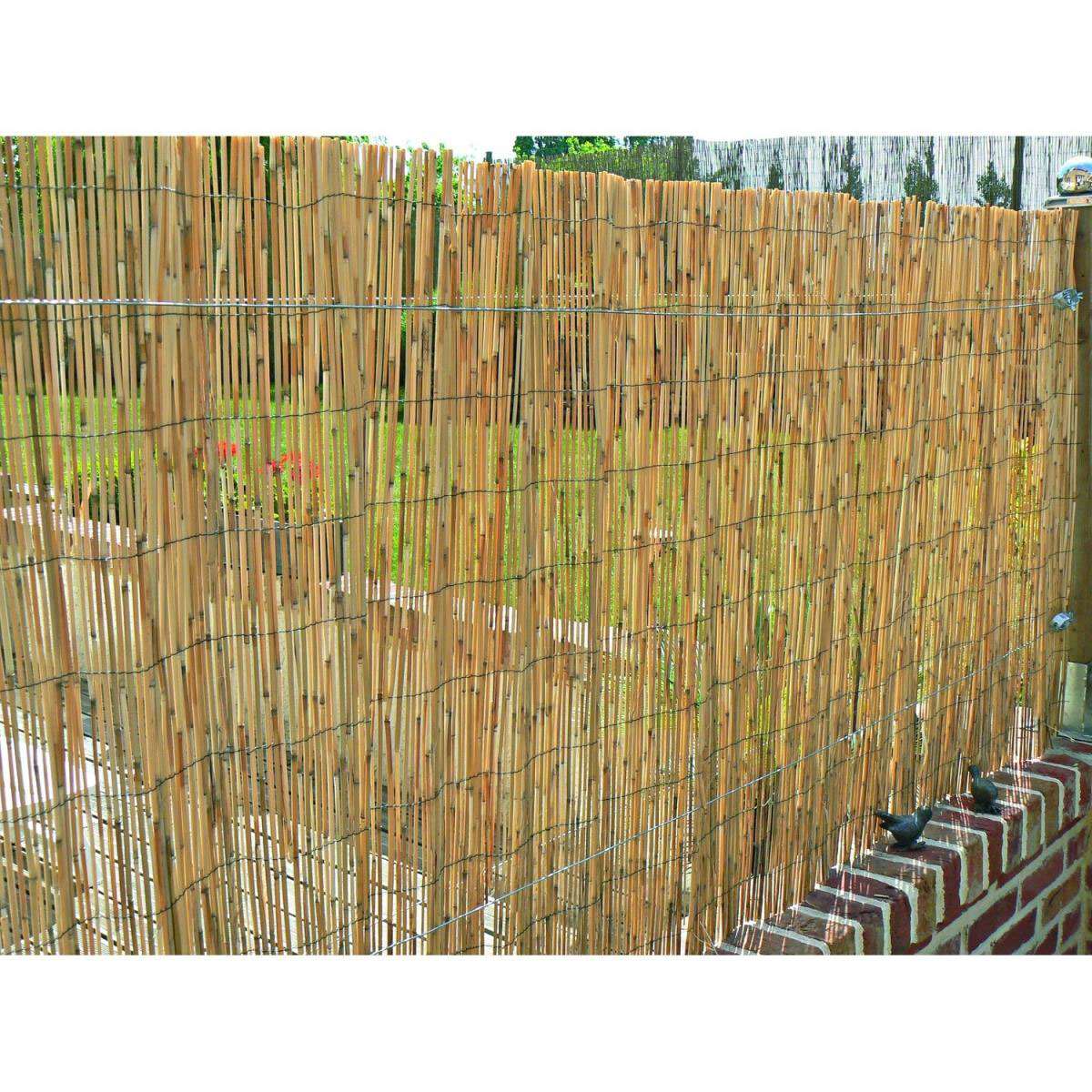 Schilfrohrmatte Malaga 120 x 600 cm Bild 1