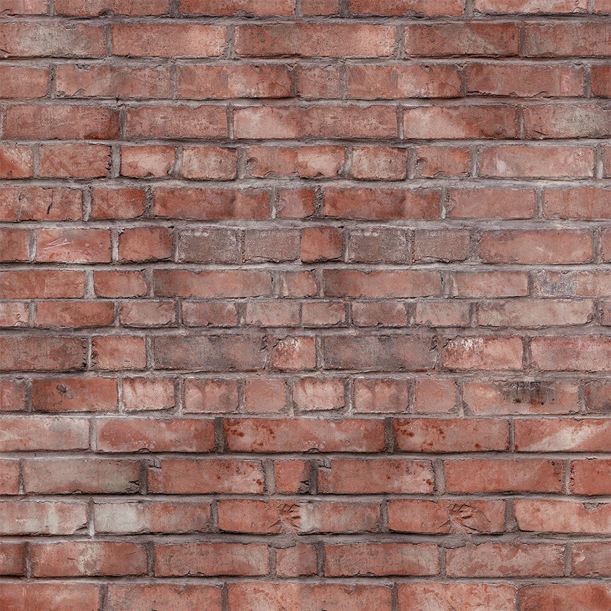 Schulte ExpressPlus Duschrueckwand DecoDesign Dekor Klinker 2100 x 1000 Bild 2