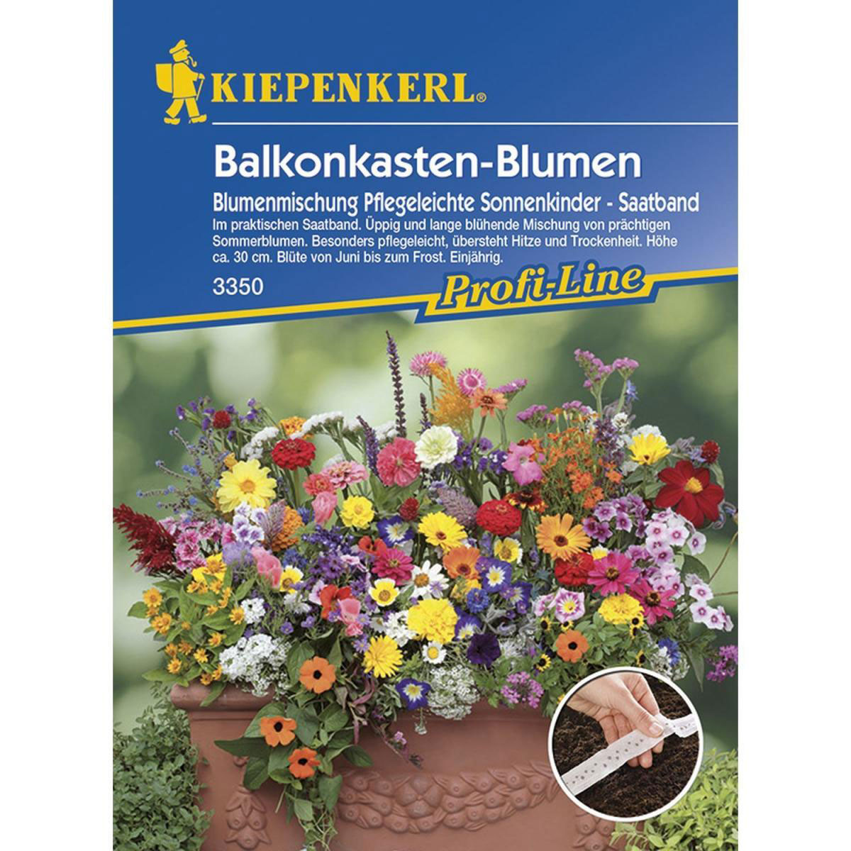 Kiepenkerl Balkonkastenblumen Sonnenkinder Bild 1