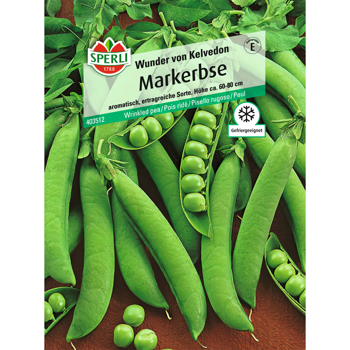 Sperli Markerbse Wunder von Kelvedon 10-20 Tage Bild 1