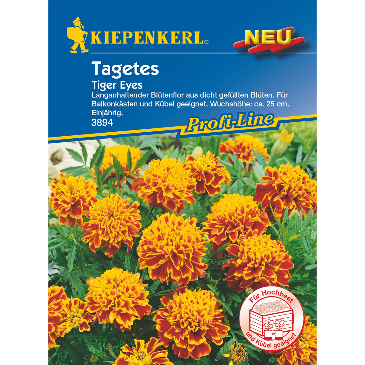 Kiepenkerl Studentenblume Tiger Eyes Bild 1
