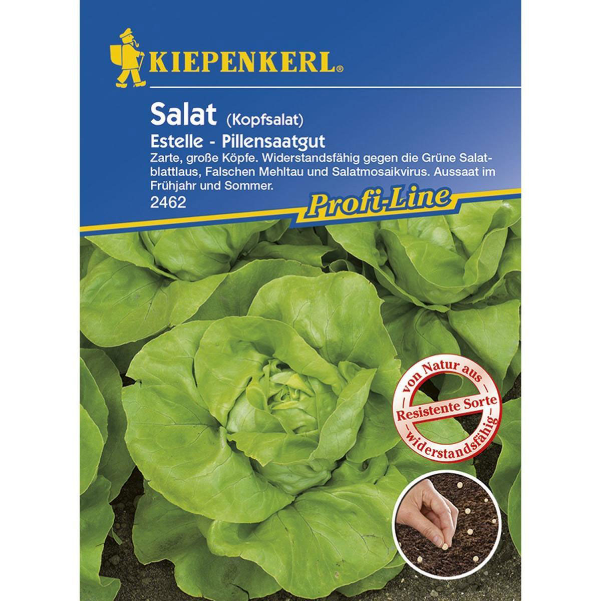 Kiepenkerl Kopfsalat Estelle - Pillensaat Profi-Line Bild 1