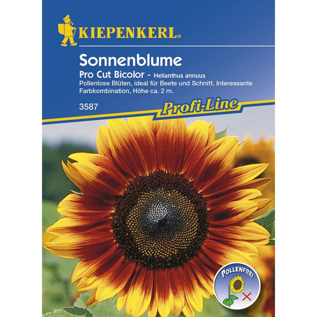 Kiepenkerl Sonnenblume Pro Cut Bicolor F1 Bild 1