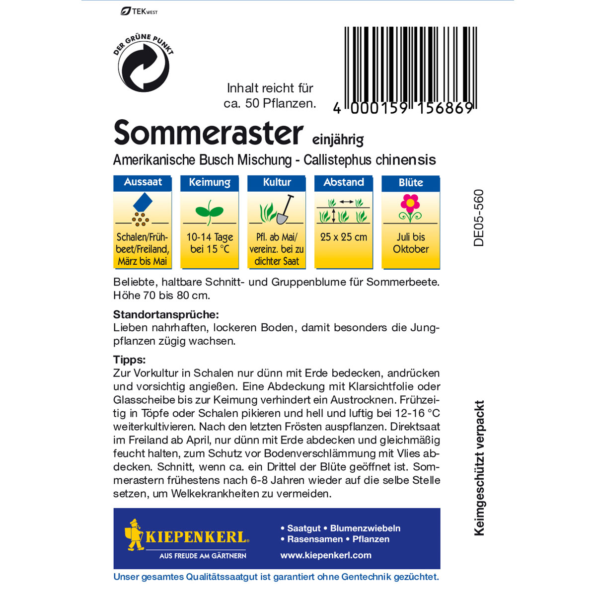 Kiepenkerl Sommeraster Amerikanischer Busch-Mix Bild 2