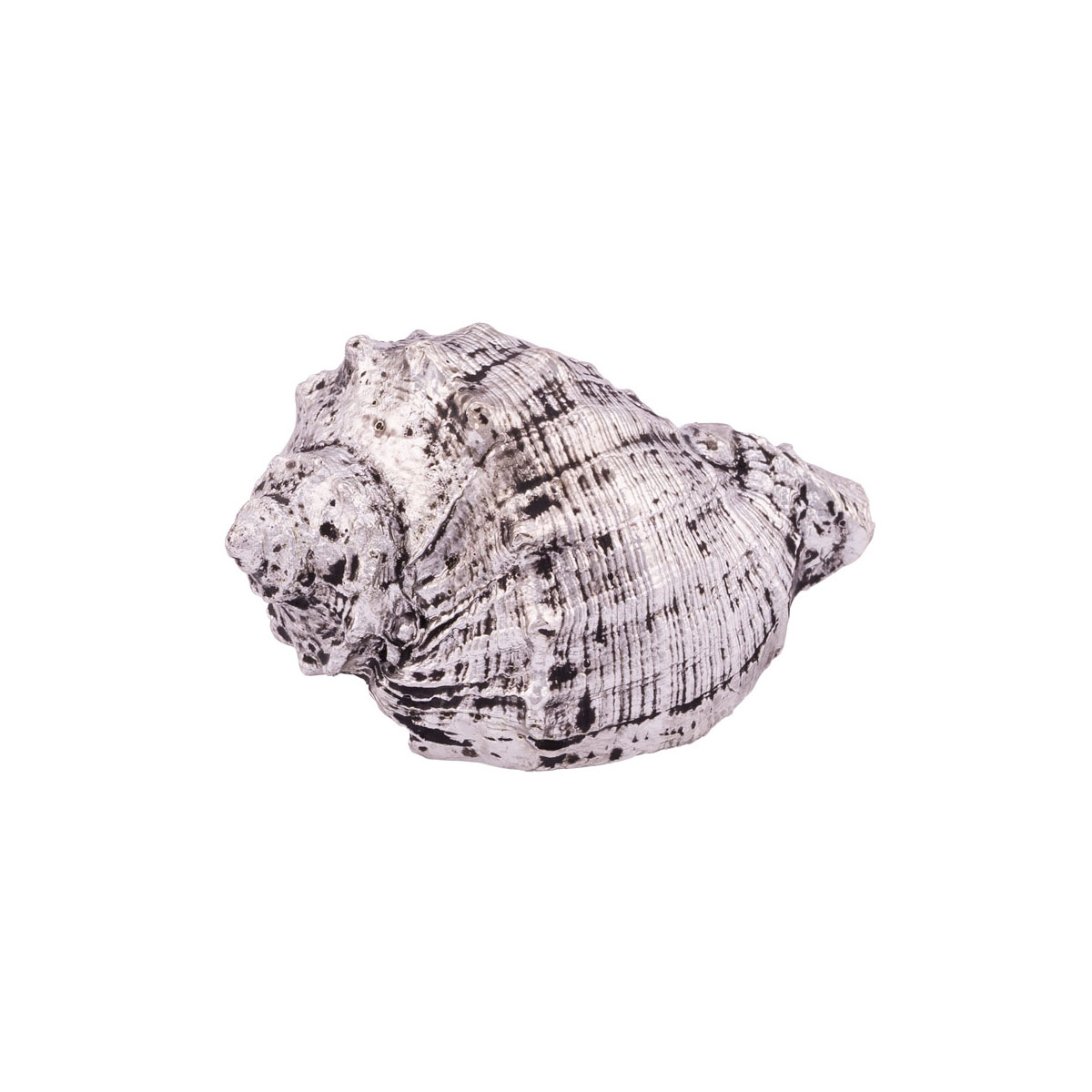 Deko-Muschel 7 x 4,5 x 3,3 cm silberfarben